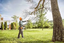 Best Storm Damage Tree Cleanup  in Unionville, TN