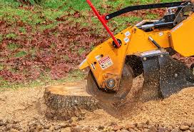 Best Tree Risk Assessment  in Unionville, TN