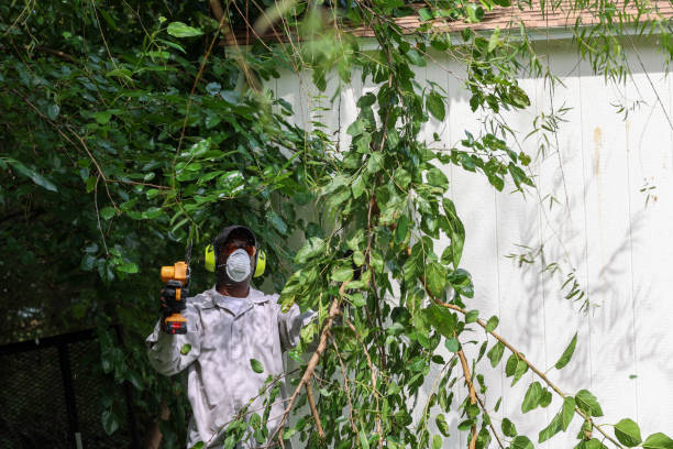 Best Tree Disease Treatment  in Unionville, TN